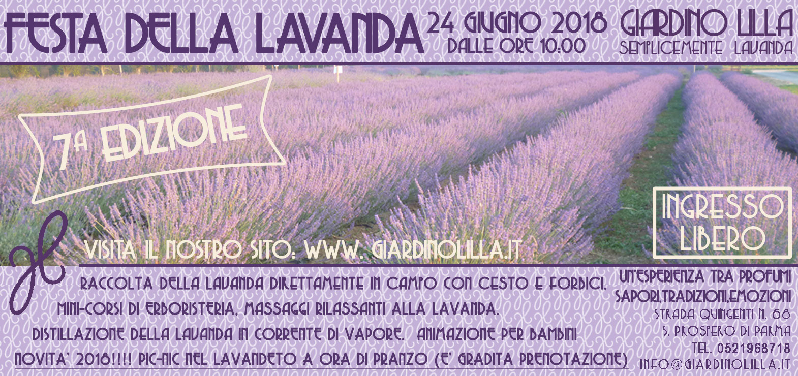 festa della lavanda